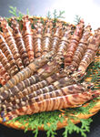 斑节虾美食图片