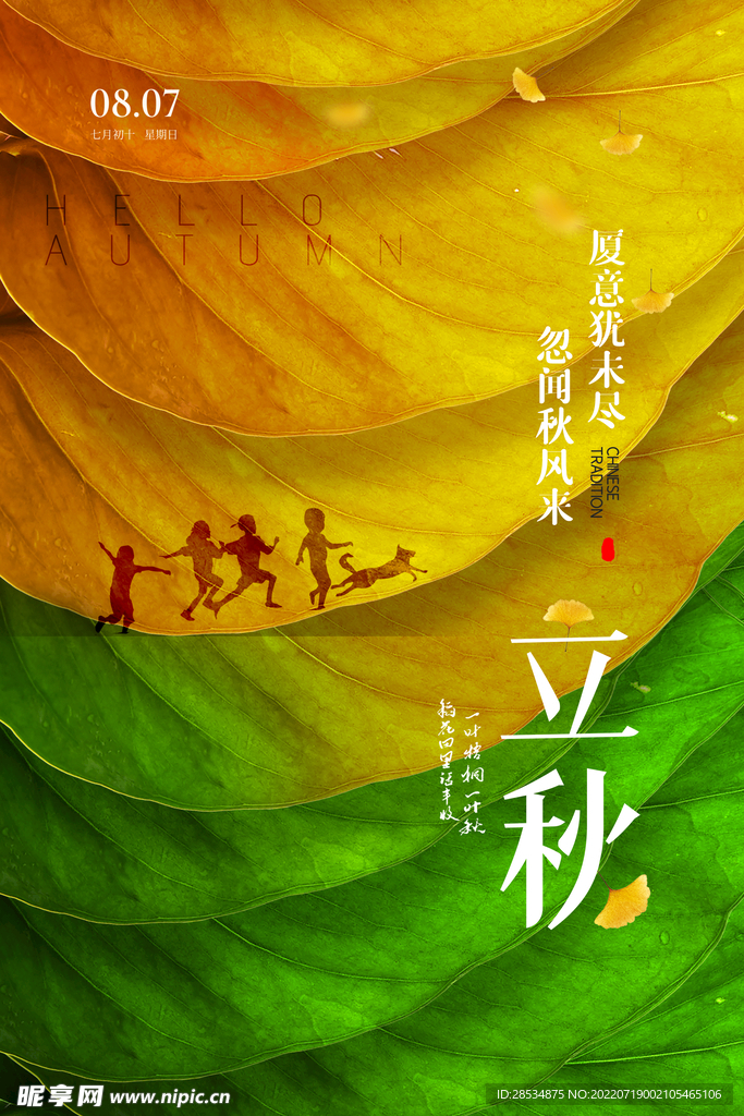 立秋海报