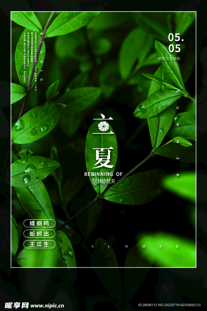立夏             