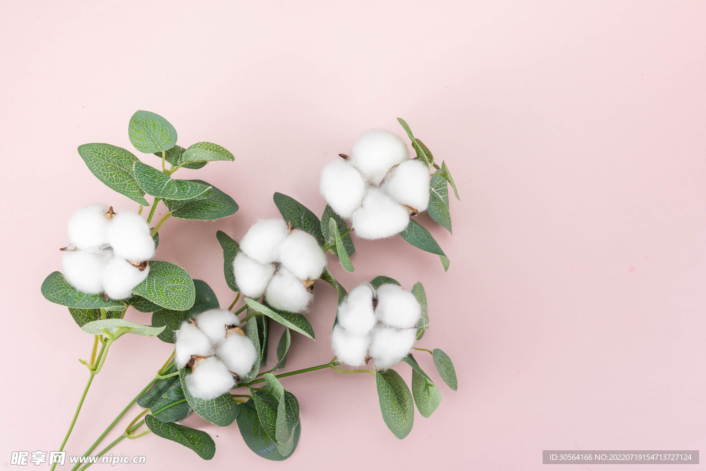 简约棉花纯棉纺织