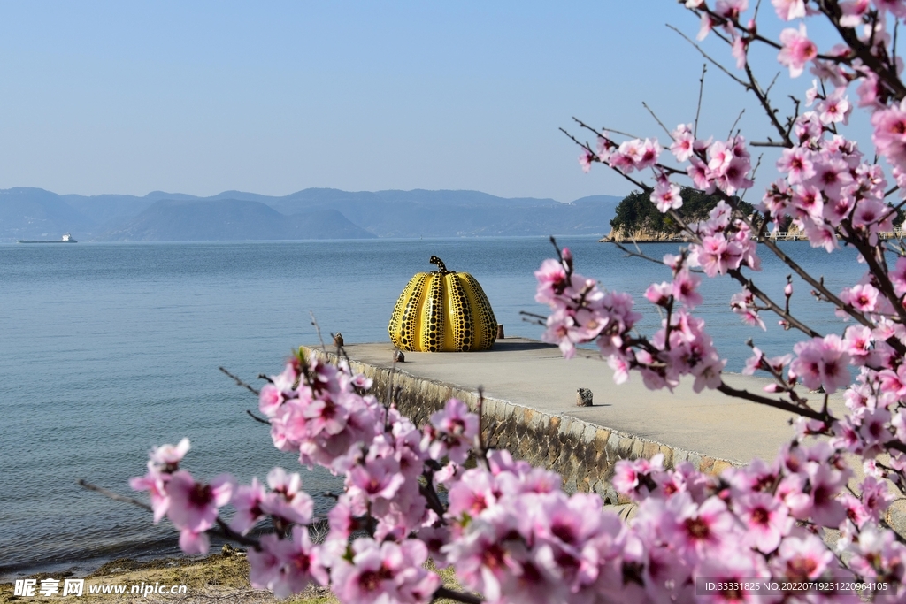 樱花
