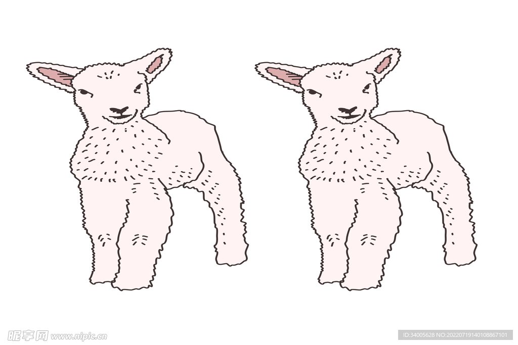 小棉羊