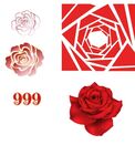 红玫瑰 999 