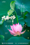大暑海报
