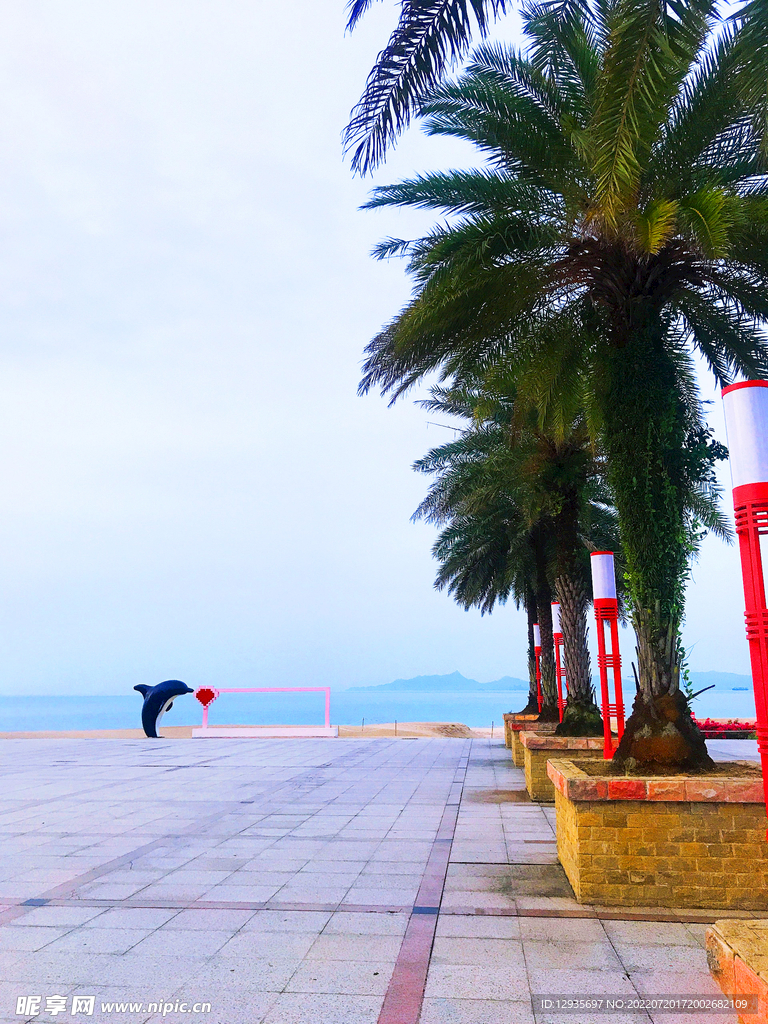 深圳玫瑰海岸一角