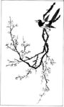 花鸟