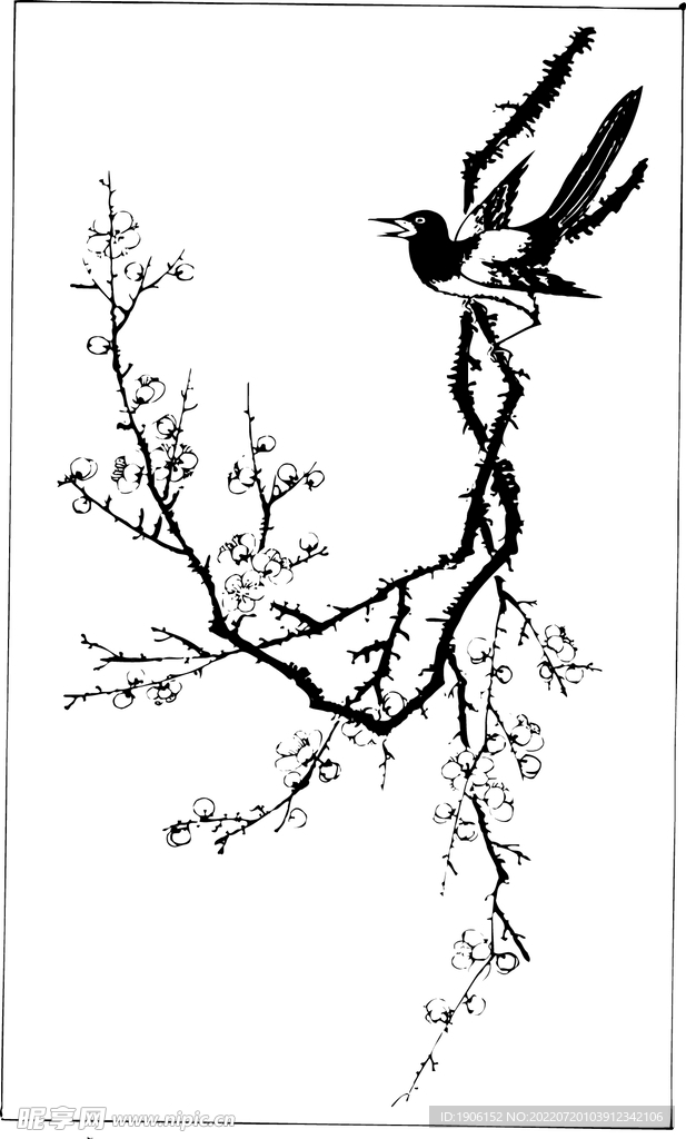 花鸟