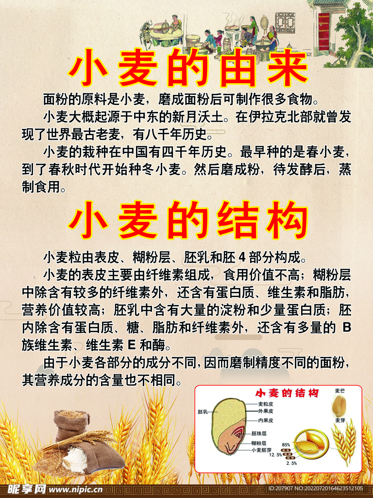 小麦