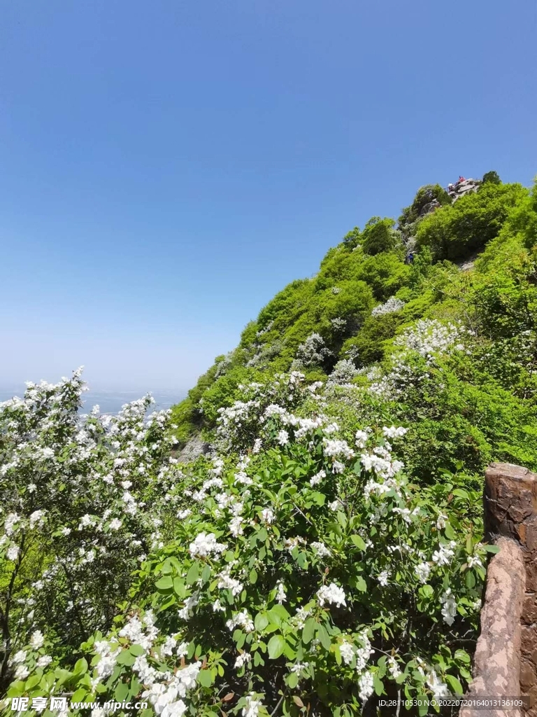 自然风景