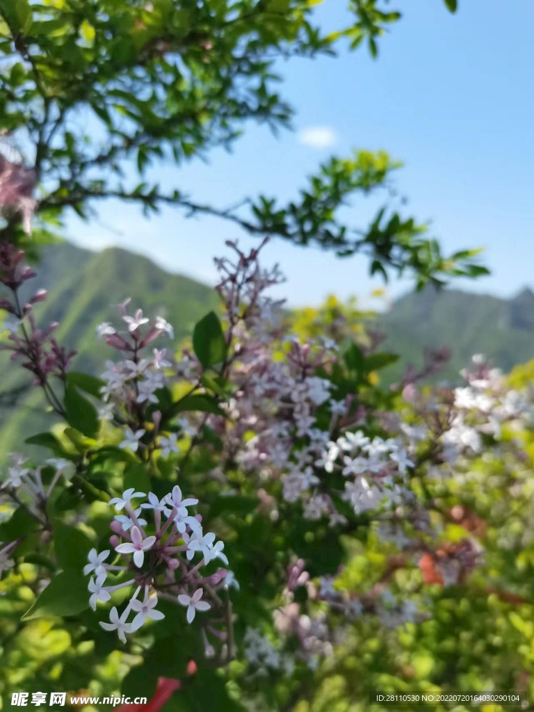 自然风景
