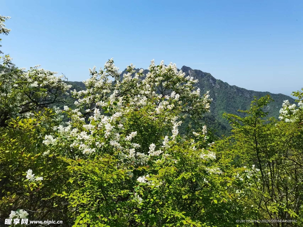 自然风景