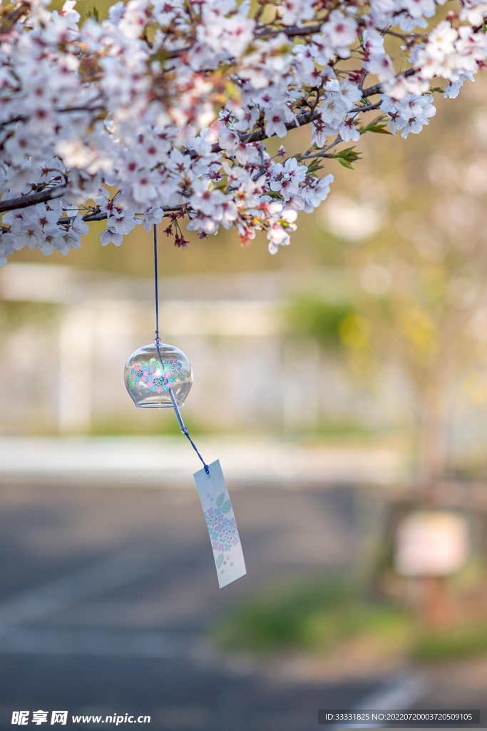 樱花