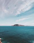 山