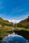 山