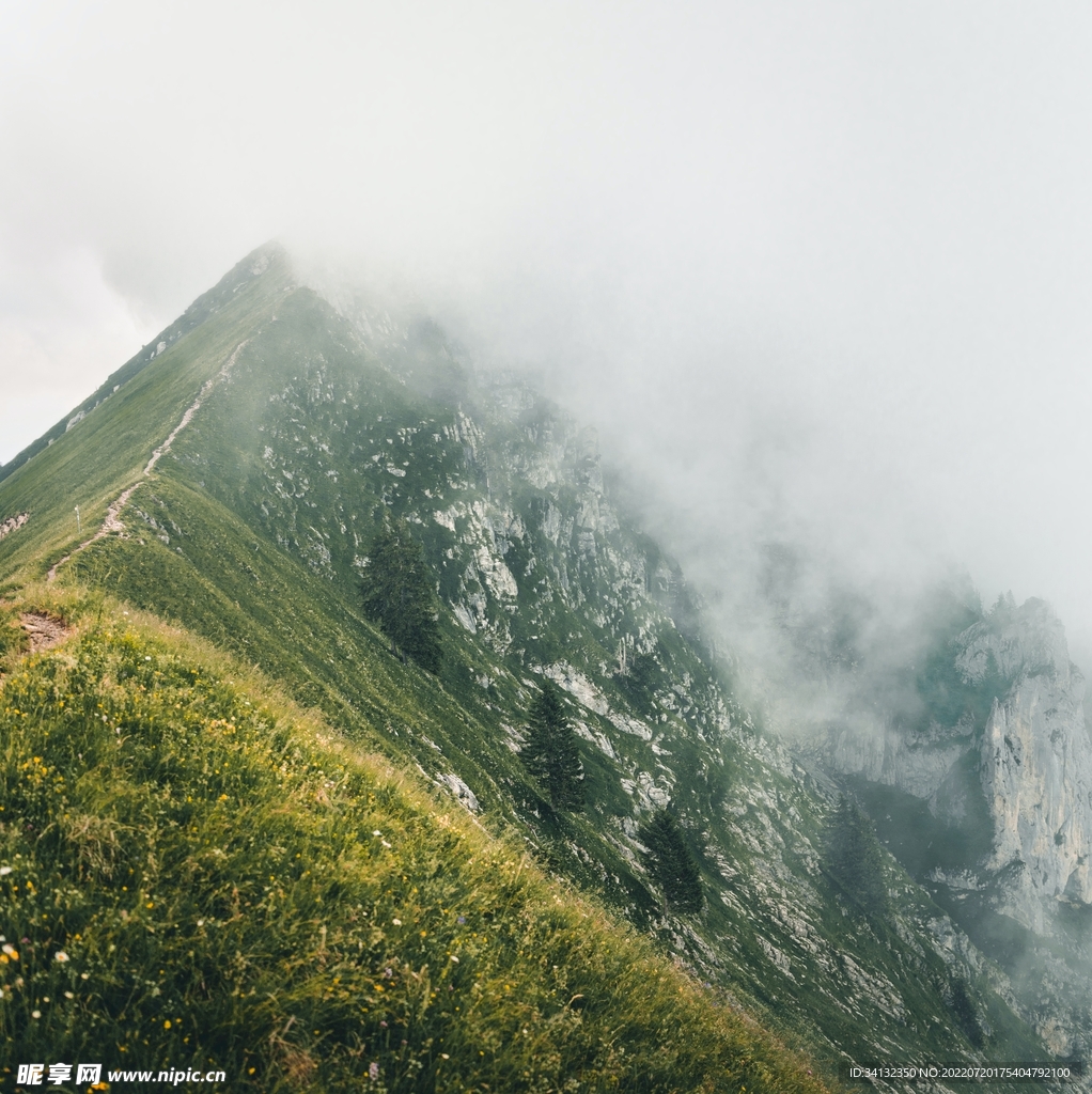 山