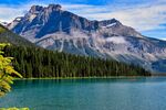 山