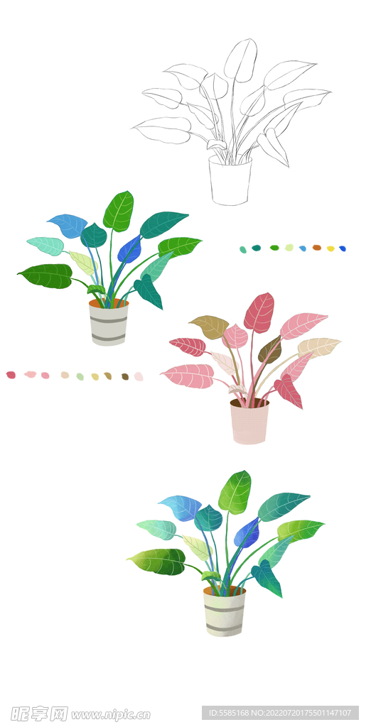 绿植 插画  写生绿叶