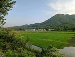 田园风光