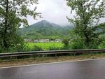 田园风光