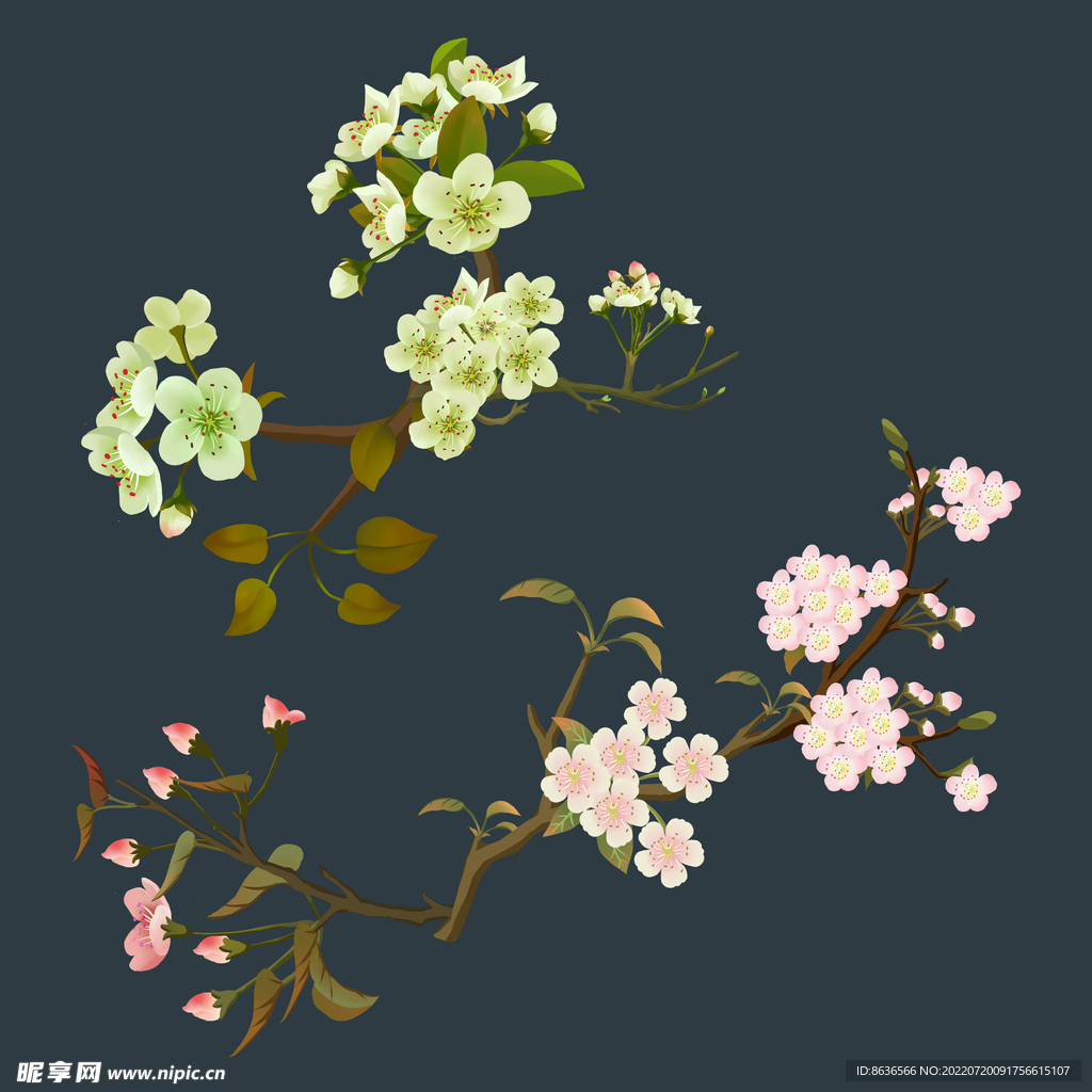 梨花