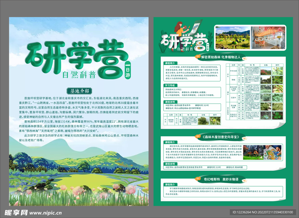 自然科普 研学营一日游