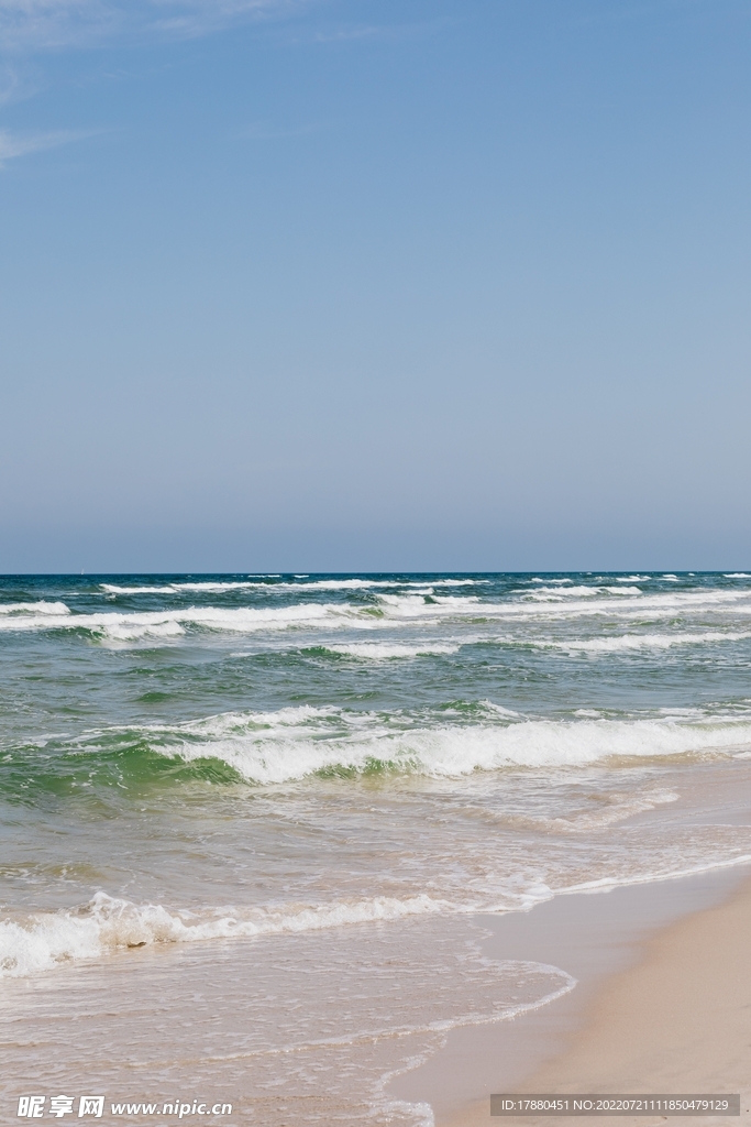 大海