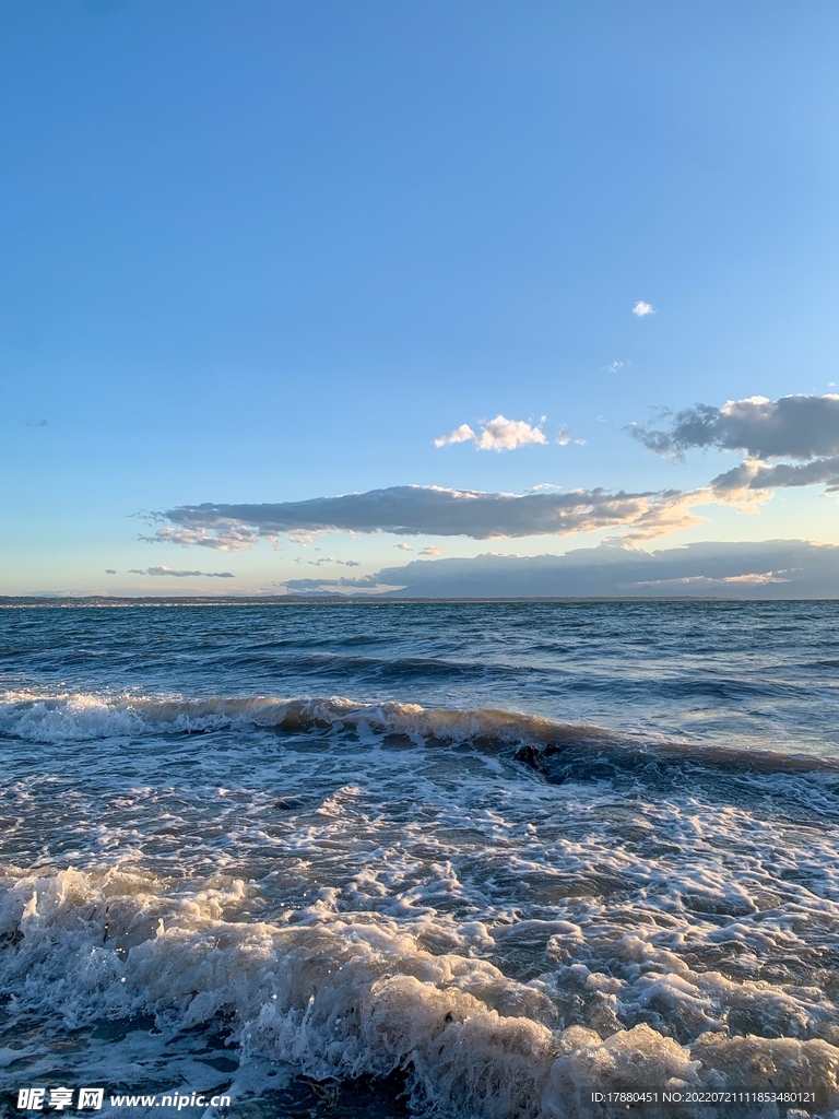 大海