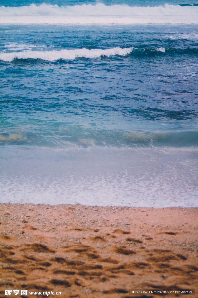 大海