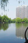 绣湖春色