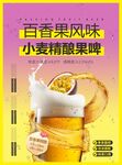 百香果啤 百香果风味啤酒 小麦