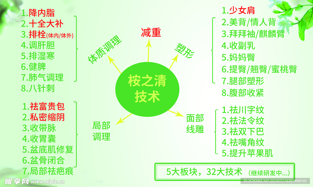 美容塑性