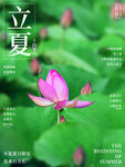 立夏             
