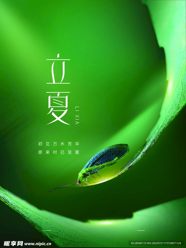 立夏             