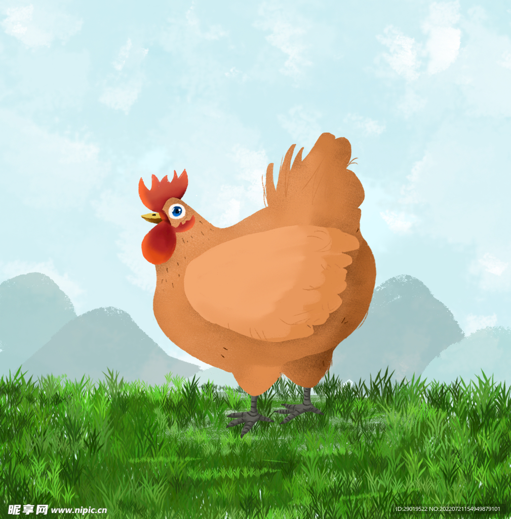 鸡