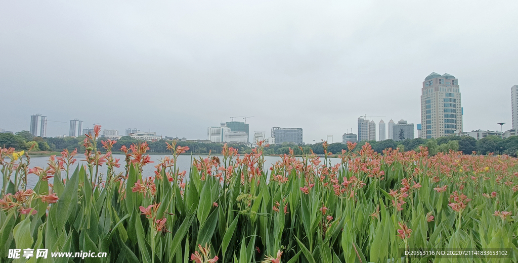 湿地公园