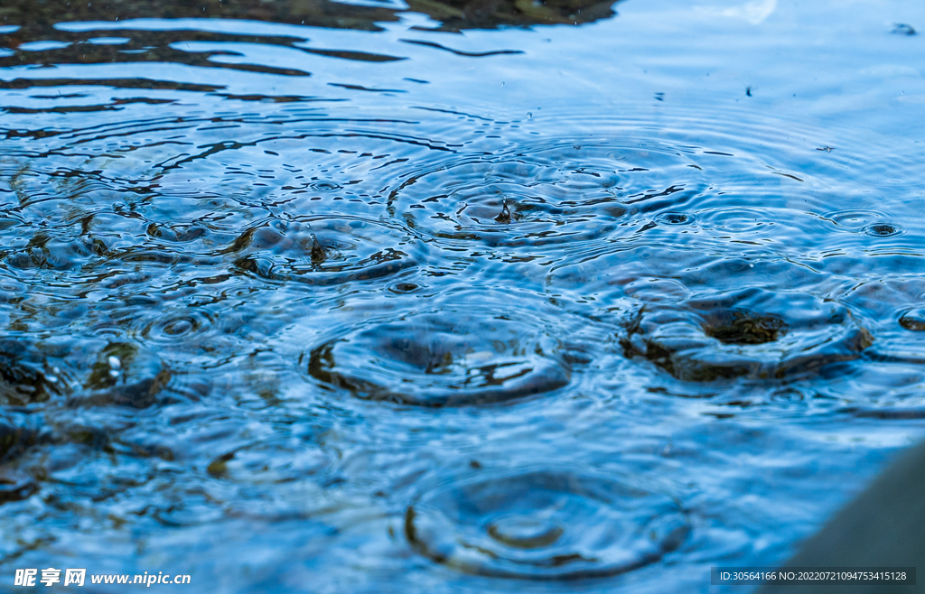 户外夏季雨水水滴