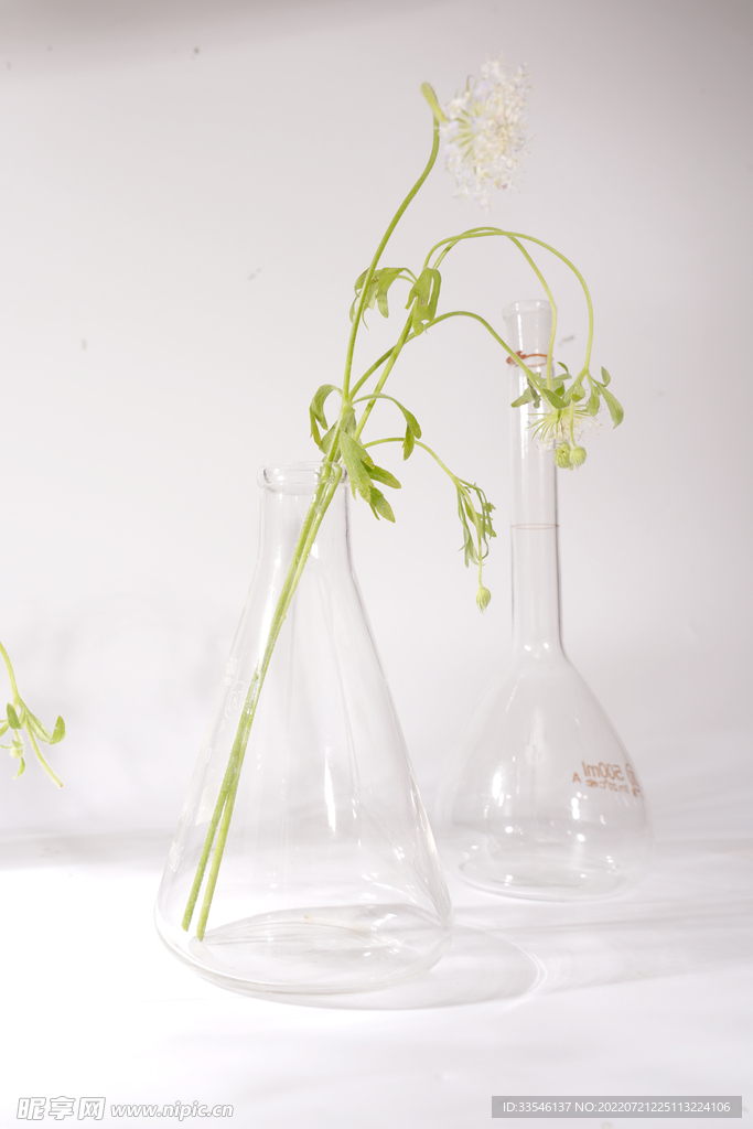 化学器皿植物背景