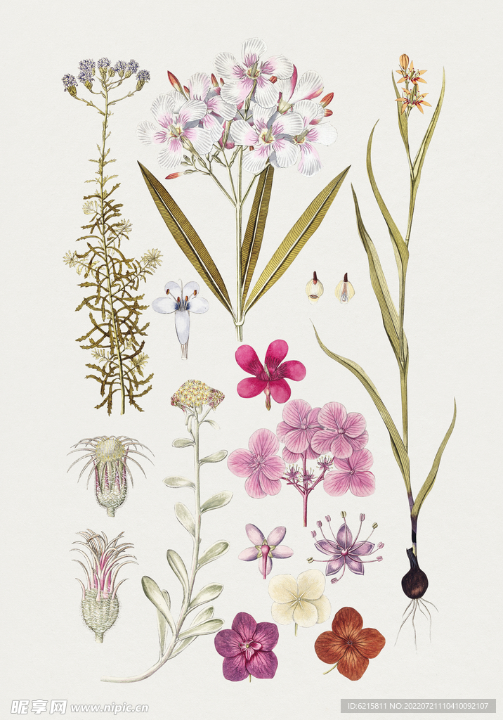 花