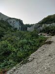 青山 山路 大山