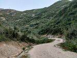山路青山