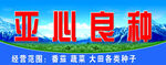 种子门头