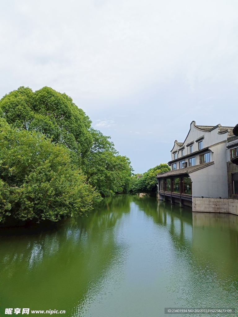 杭州河流水边绿树建筑