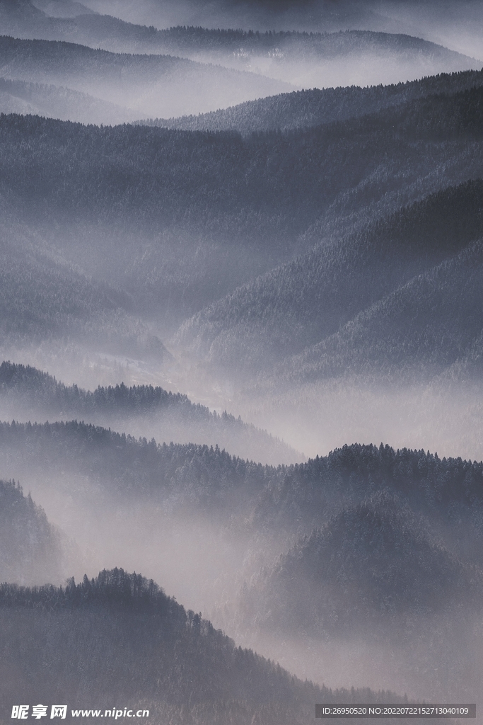 山