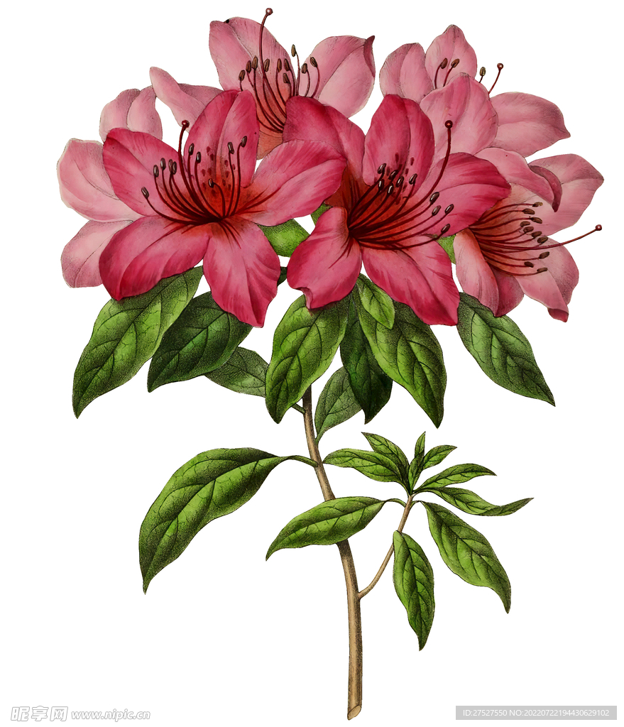 数码印花