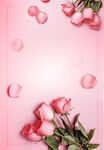 玫瑰花海报