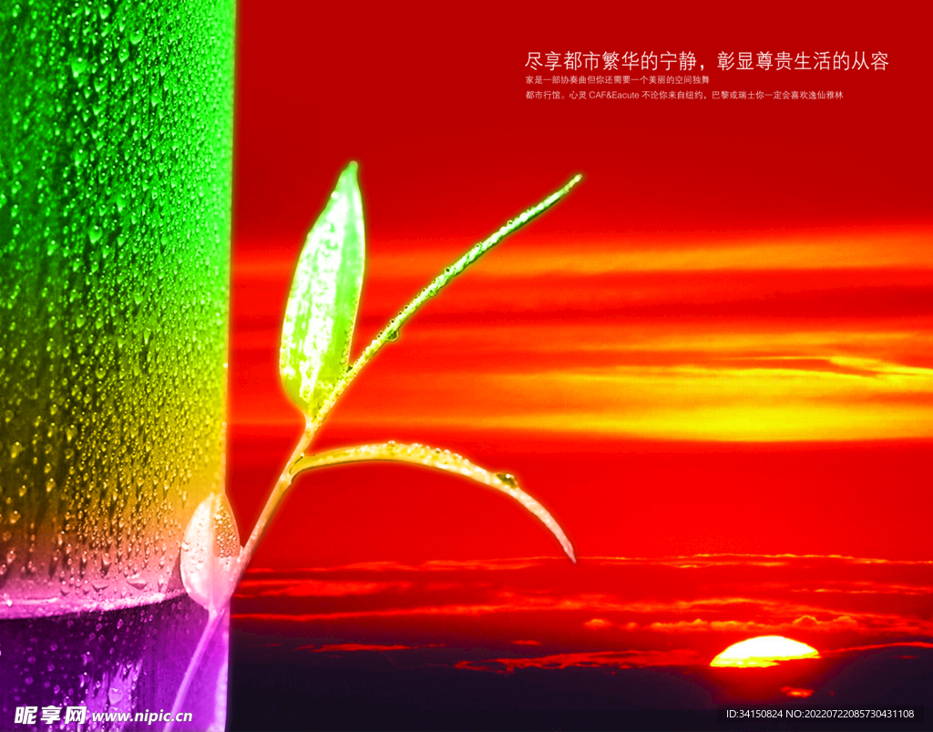夕阳