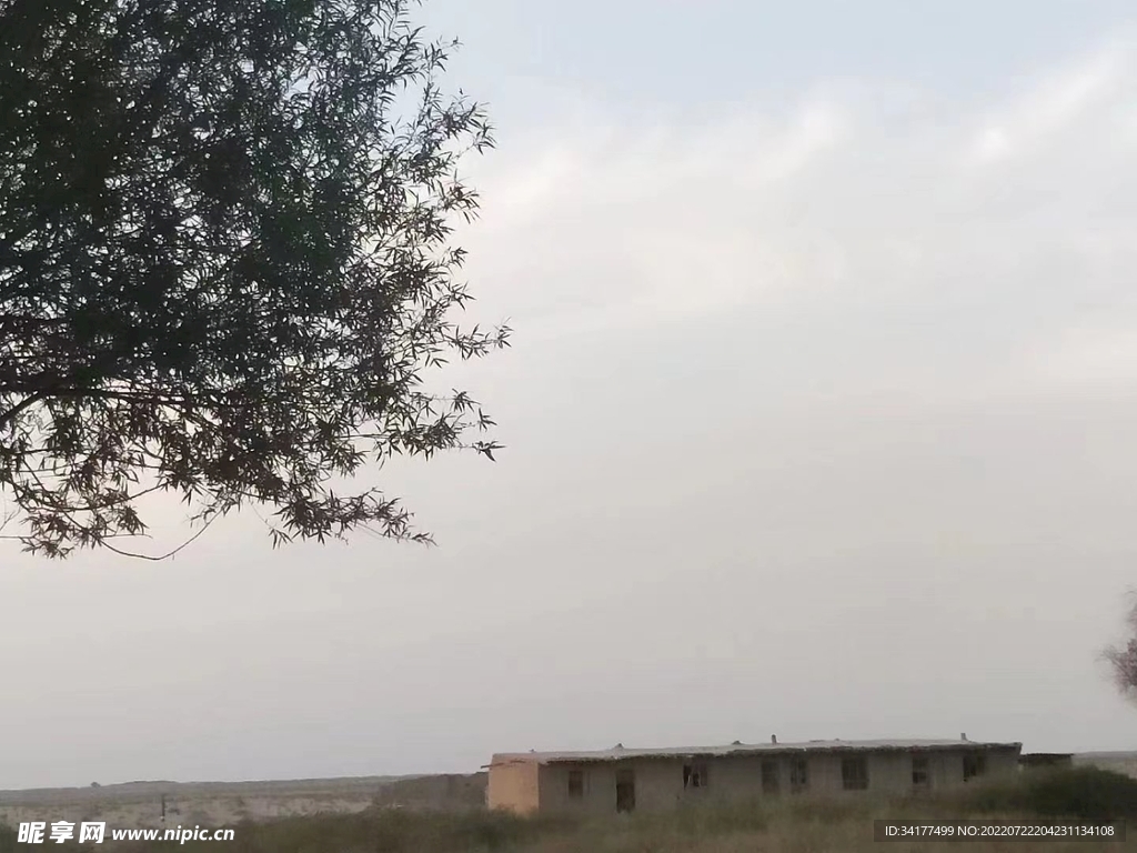 沙漠风光