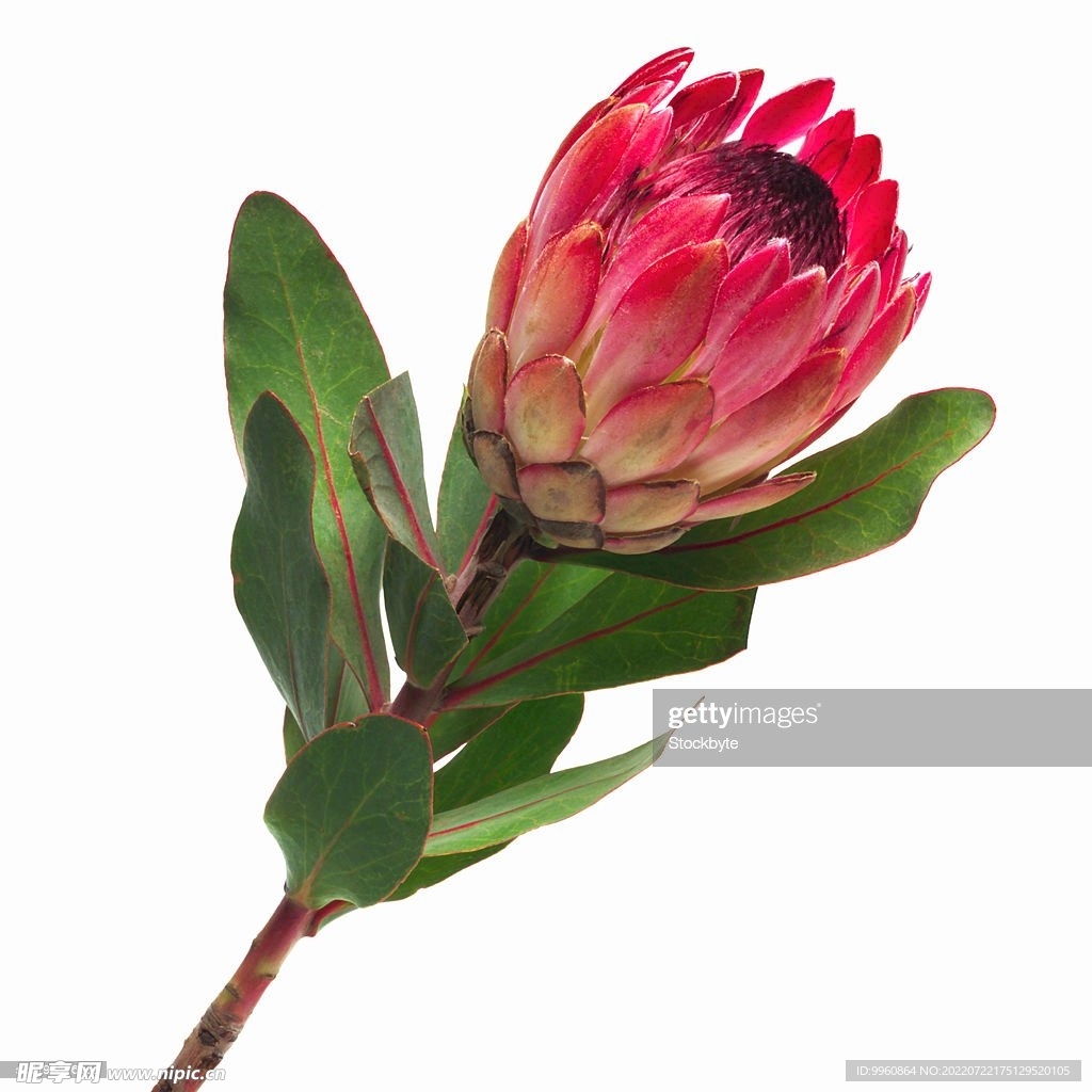 数码印花