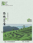 茶