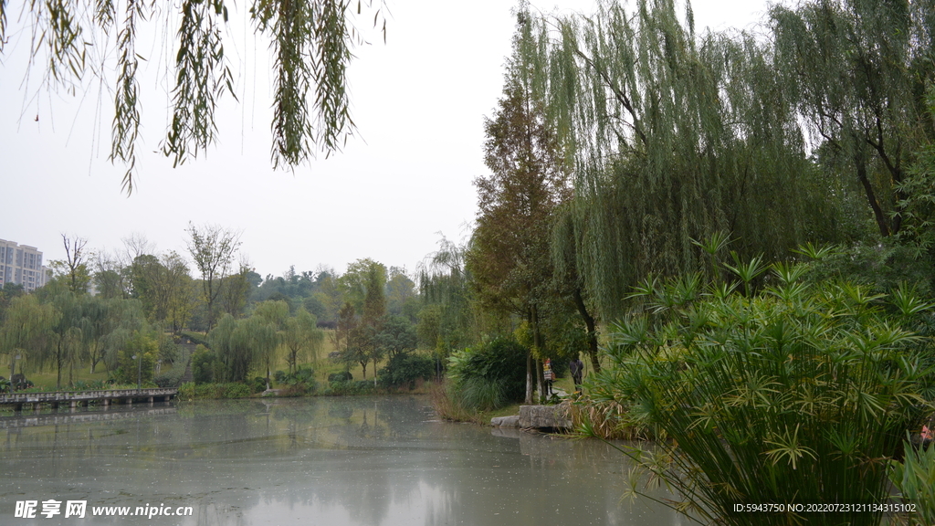 风景